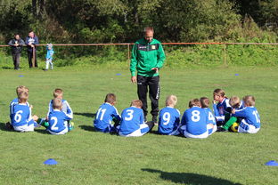 Ac米兰俱乐部官网-中国篮球教练员技术战术创新能力提升路径，篮球教练发展