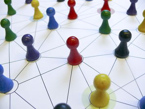 米兰体育登录入口官网-中国篮球教练员领导力培养路径，中国篮球协会篮球教练员等级